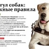«Об ответственном обращении с животными» «Об ответственном обращении с животными»